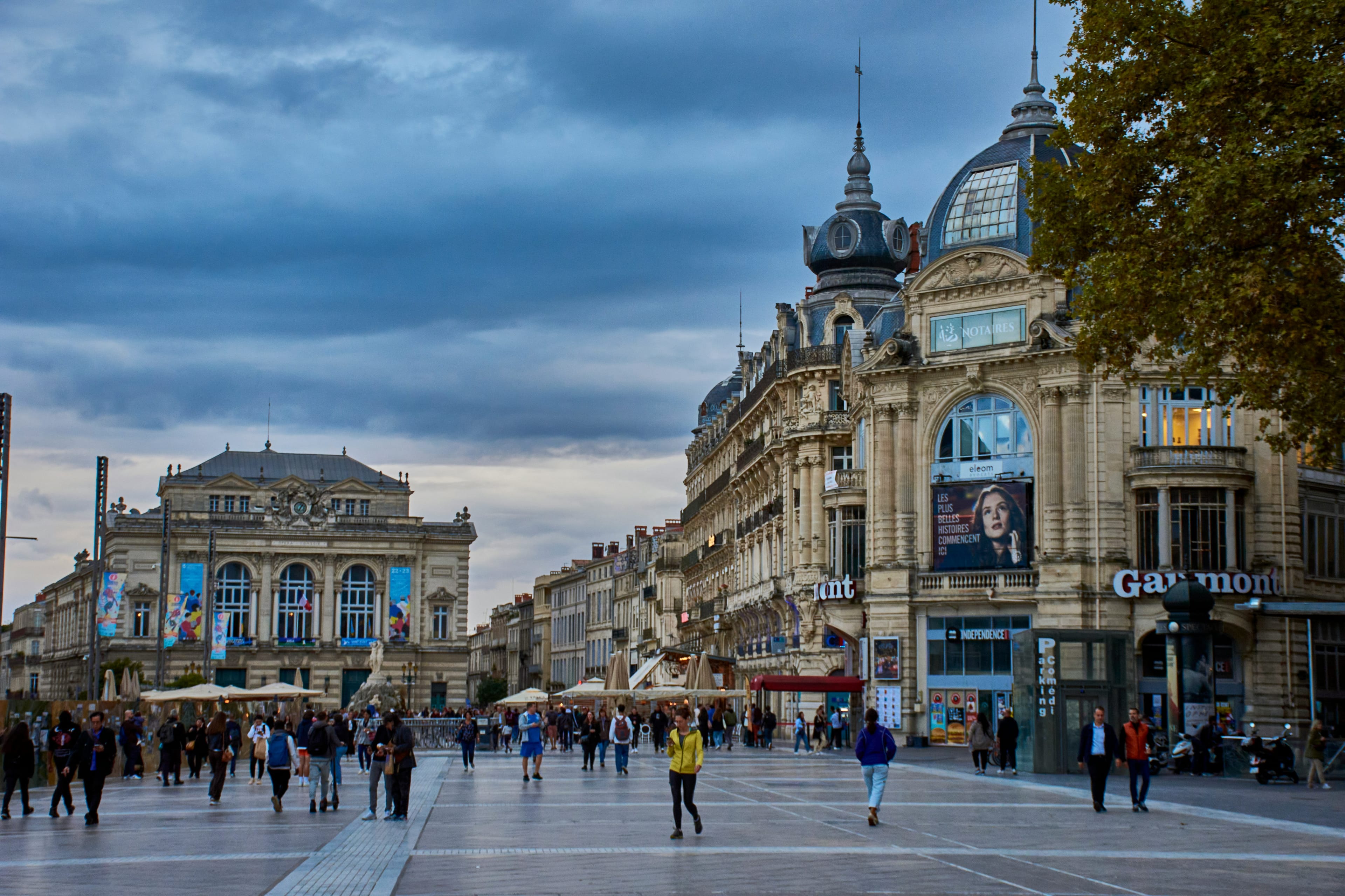 Tarifs création site vitrine Montpellier - Guide prix 2025