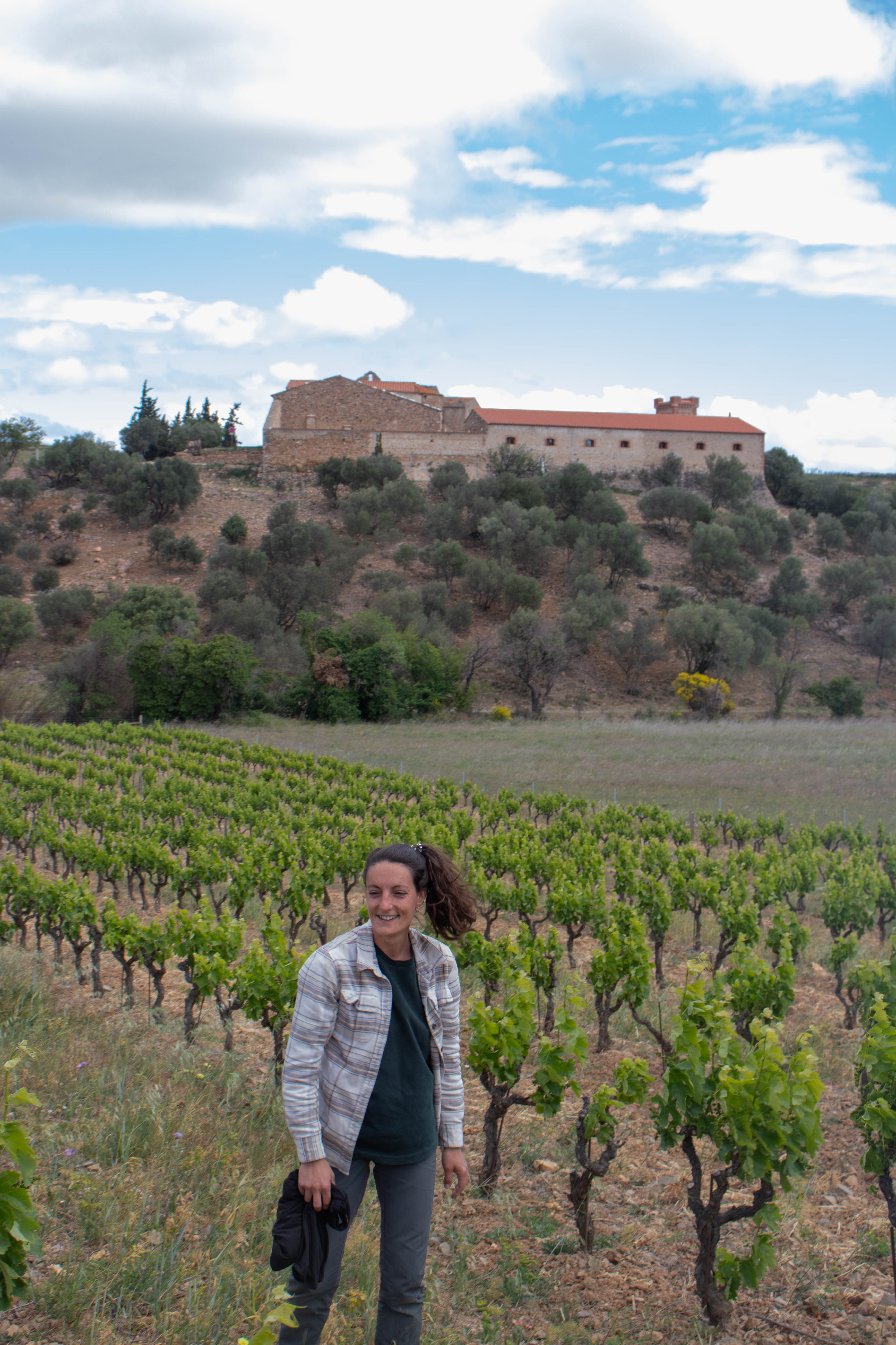 Vignes domaine de l'horizon